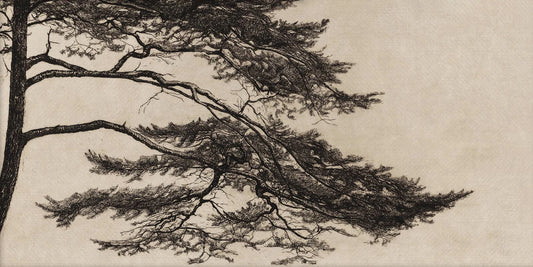 Affiches de branche d'arbre vintage